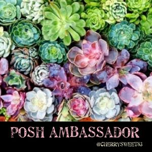 Posh Ambassador